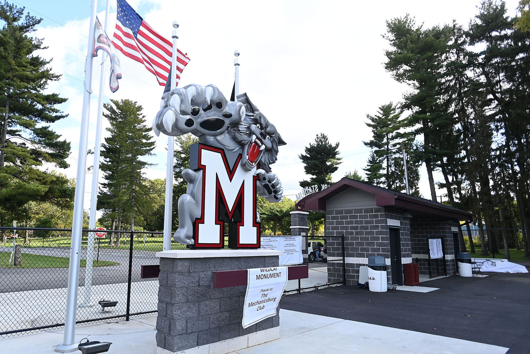 Wildcat Foundation 10